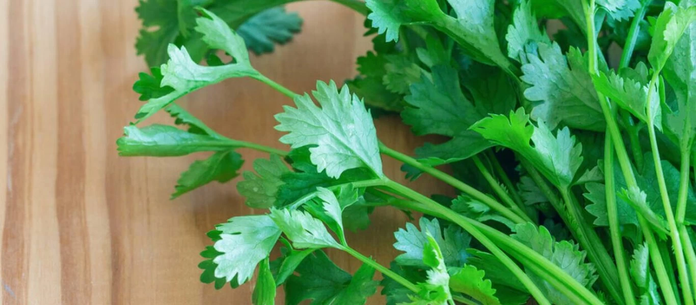 Μισείς την γεύση του κόλιανδρου; - Δεν είσαι ο μόνος - Υπάρχει επιστημονικός λόγος